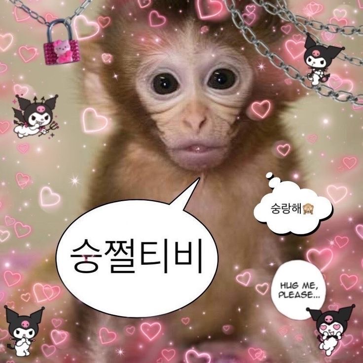 김이쭈