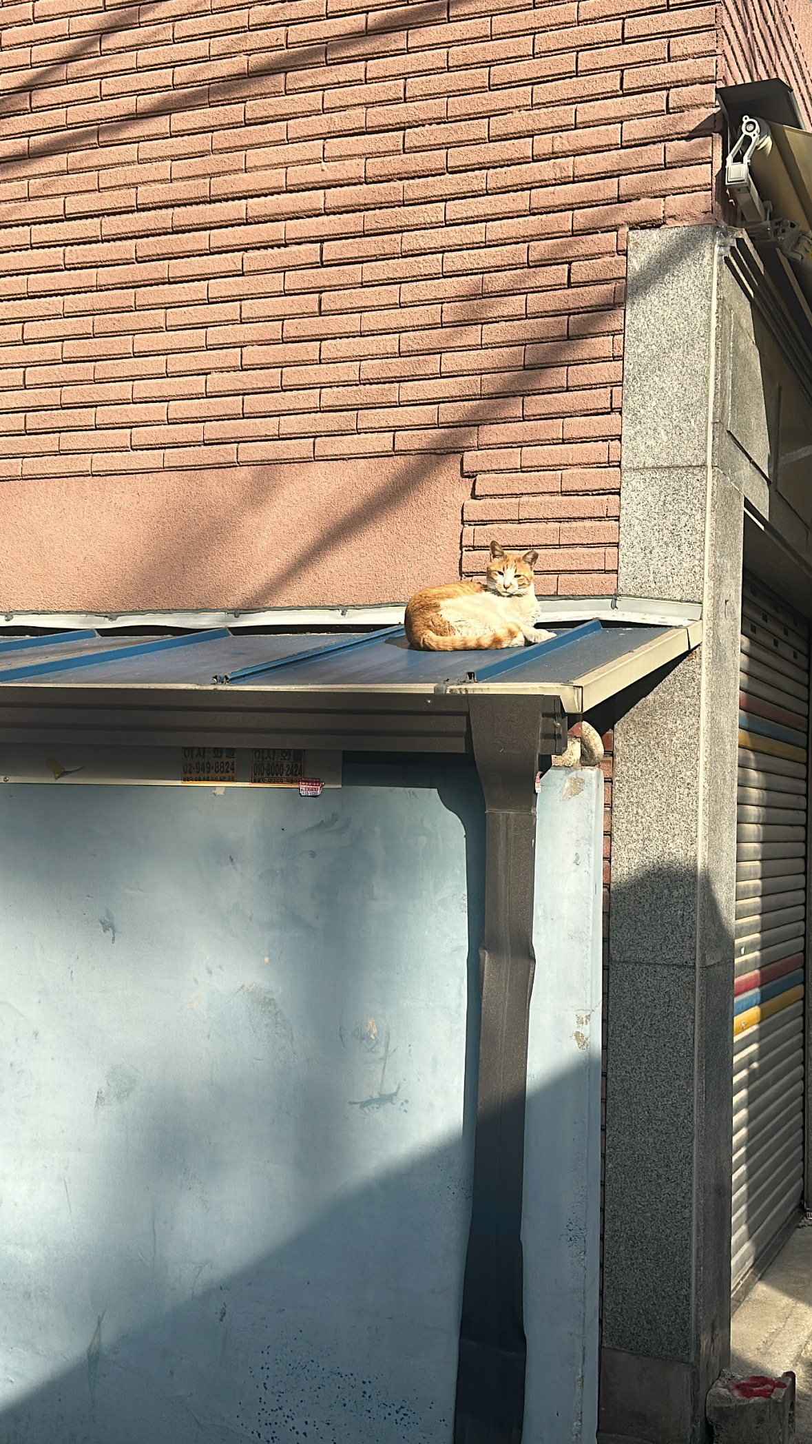 져니